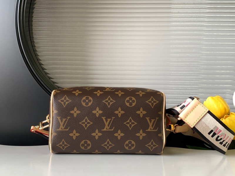 LV Speedy Bags